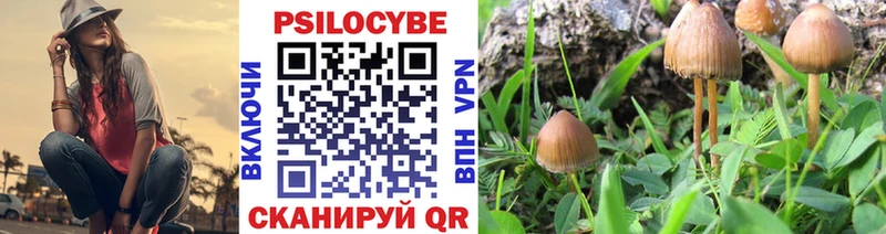 Купить закладки  Выкса  Псилоцибиновые грибы мицелий 